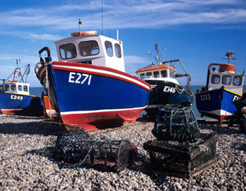 Fishing Boats