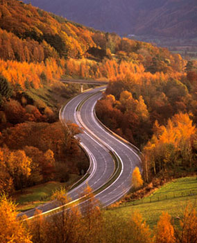 Autumn Highway